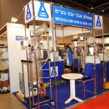הכנס ה-85 של החברה לישראל